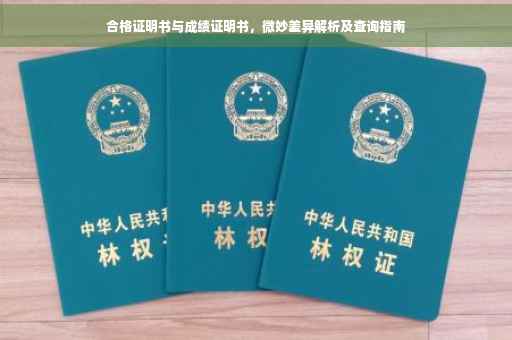 合格证明书与成绩证明书，微妙差异解析及查询指南