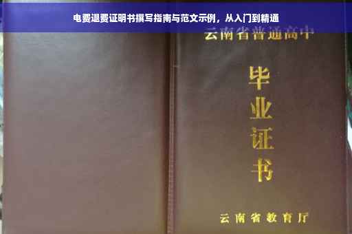 电费退费证明书撰写指南与范文示例，从入门到精通