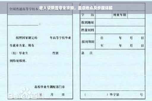 收入证明盖章全攻略，盖章地点及步骤详解