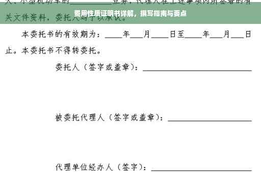 费用性质证明书详解，撰写指南与要点