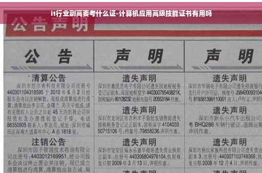 it行业副高要考什么证-计算机应用高级技能证书有用吗