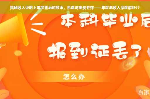 揭秘收入证明上年度背后的故事，机遇与挑战并存——年度总收入深度解析??