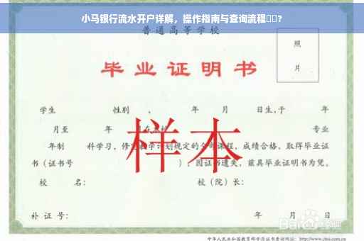 小马银行流水开户详解，操作指南与查询流程⚡️?