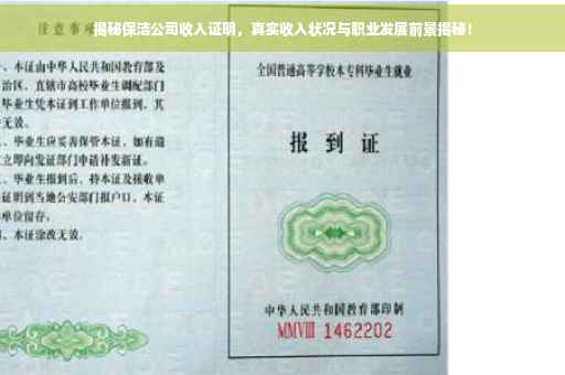 揭秘保洁公司收入证明，真实收入状况与职业发展前景揭秘！