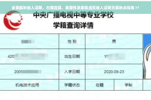 全面解析收入证明，办理流程、重要性及家庭成员收入证明开具地点指南 ??