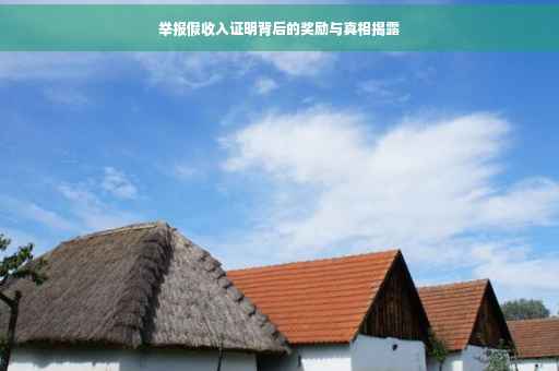 举报假收入证明背后的奖励与真相揭露