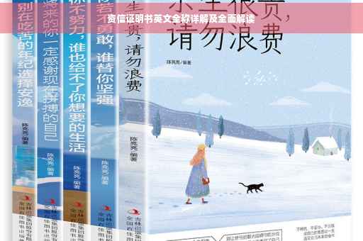 资信证明书英文全称详解及全面解读