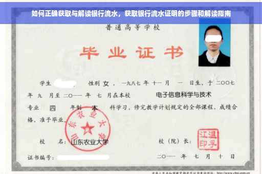 如何正确获取与解读银行流水，获取银行流水证明的步骤和解读指南