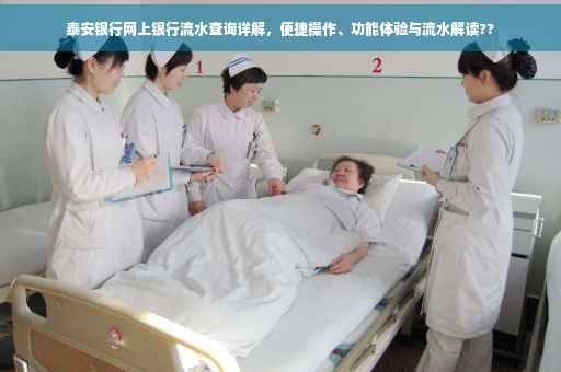 泰安银行网上银行流水查询详解，便捷操作、功能体验与流水解读??