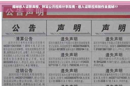 揭秘收入证明真相，财富公开视频分享指南 - 收入证明视频制作全揭秘??