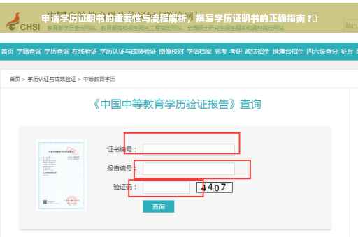 申请学历证明书的重要性与流程解析，撰写学历证明书的正确指南 ?✨