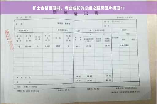 护士合格证明书，专业成长的必经之路及图片概览??
