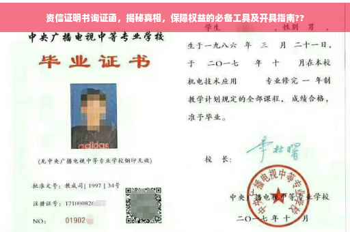 资信证明书询证函，揭秘真相，保障权益的必备工具及开具指南??