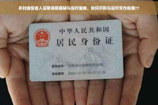 农村虚假收入证明真相揭秘与应对策略，如何识别与应对写作指南??