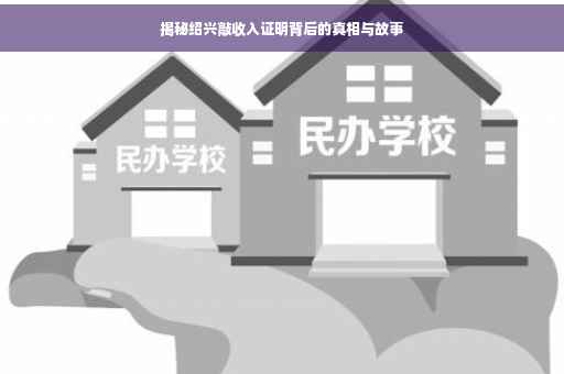 揭秘绍兴敲收入证明背后的真相与故事