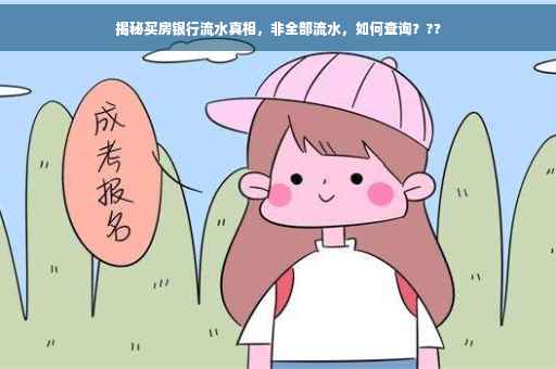 揭秘买房银行流水真相，非全部流水，如何查询？??