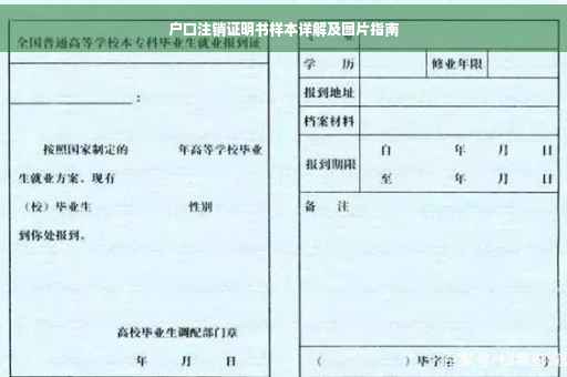 户口注销证明书样本详解及图片指南