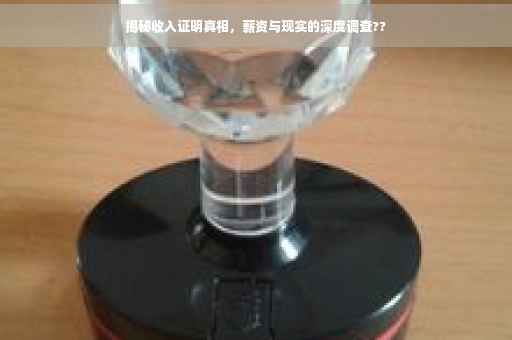 揭秘收入证明真相，薪资与现实的深度调查??