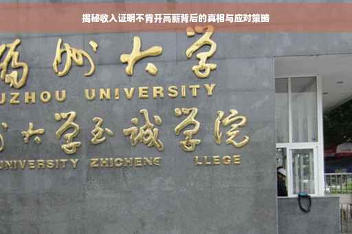 揭秘收入证明不肯开高薪背后的真相与应对策略