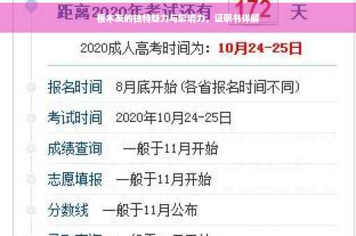 模木友的独特魅力与影响力，证明书详解