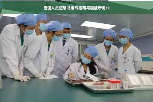 借调人员证明书撰写指南与模板示例??