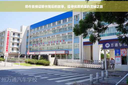 奶牛资格证明书背后的故事，探寻优质奶源的奥秘之旅