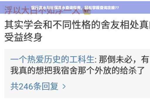 银行流水与社保流水查询指南，轻松掌握查询攻略??