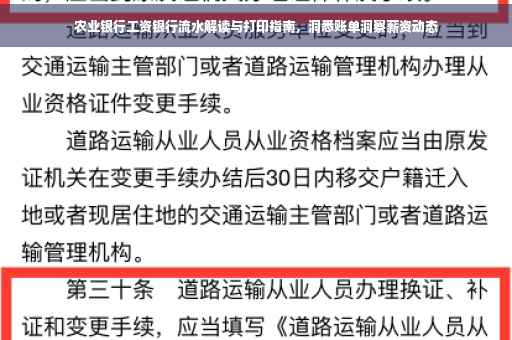 农业银行工资银行流水解读与打印指南，洞悉账单洞察薪资动态