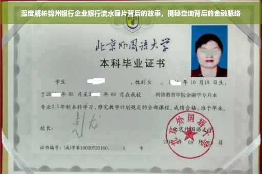 深度解析锦州银行企业银行流水图片背后的故事，揭秘查询背后的金融脉络