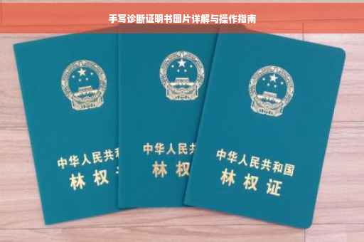 手写诊断证明书图片详解与操作指南