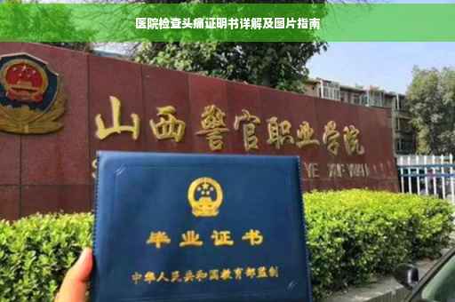 医院检查头痛证明书详解及图片指南