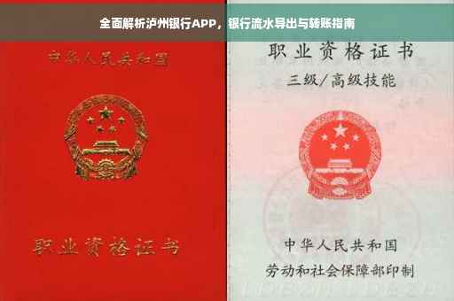 全面解析泸州银行APP，银行流水导出与转账指南