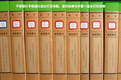 宁夏银行手机银行流水打印详解，操作指南与步骤??流水打印攻略
