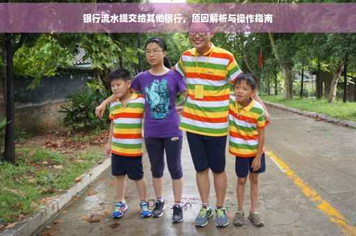 银行流水提交给其他银行，原因解析与操作指南