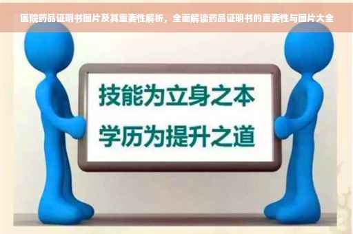 医院药品证明书图片及其重要性解析，全面解读药品证明书的重要性与图片大全