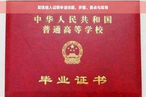 配偶收入证明申请详解，步骤、要点与指导
