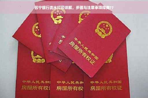苏宁银行流水打印详解，步骤与注意事项指南??