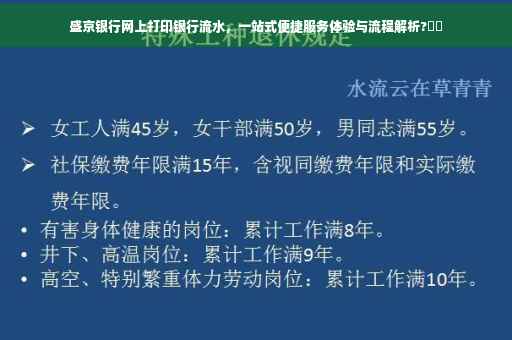 盛京银行网上打印银行流水，一站式便捷服务体验与流程解析?⚡️