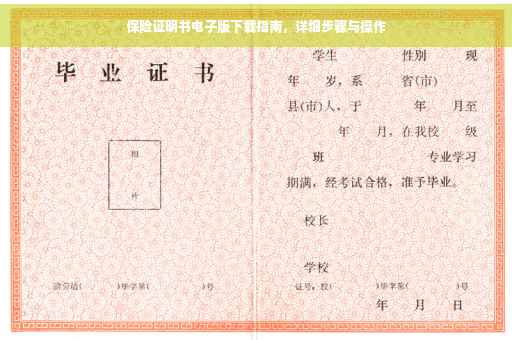 保险证明书电子版下载指南，详细步骤与操作