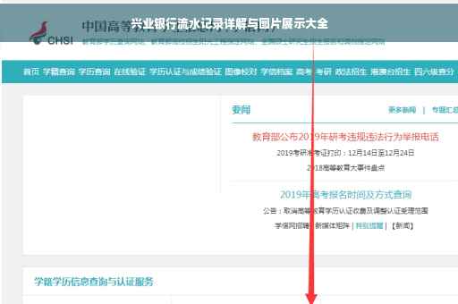 兴业银行流水记录详解与图片展示大全