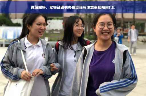 详细解析，军警证明书办理流程与注意事项指南?⚡️