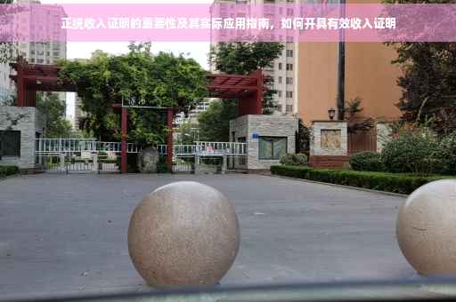 正统收入证明的重要性及其实际应用指南，如何开具有效收入证明