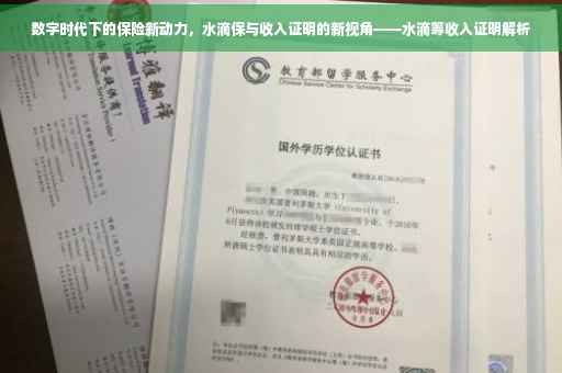 数字时代下的保险新动力，水滴保与收入证明的新视角——水滴筹收入证明解析
