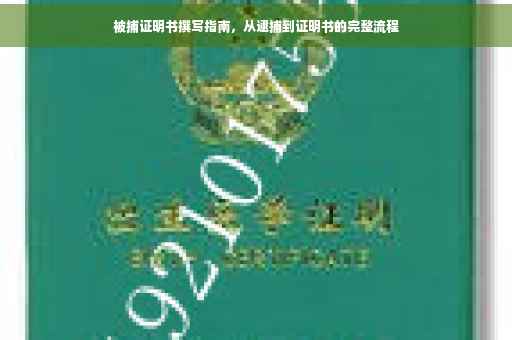 被捕证明书撰写指南，从逮捕到证明书的完整流程