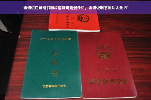 雷诺进口证明书图片解析与背景介绍，雷诺证明书图片大全 ?✨