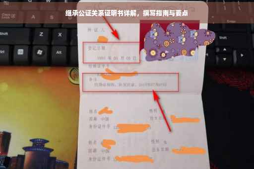 继承公证关系证明书详解，撰写指南与要点