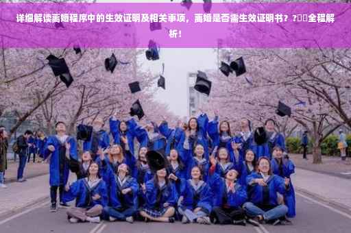 详细解读离婚程序中的生效证明及相关事项，离婚是否需生效证明书？?⚡️全程解析！