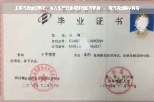 主蒸汽质量证明书,电力生产安全与环保的守护神——蒸汽质量要求详解 主蒸汽质量证明书,电力生产安全与环保的守护神——蒸汽质量要求详解