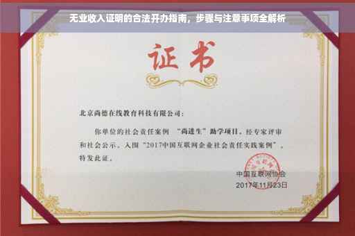无业收入证明的合法开办指南，步骤与注意事项全解析