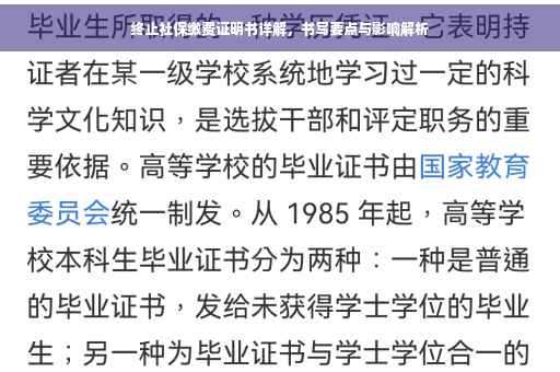 终止社保缴费证明书详解，书写要点与影响解析